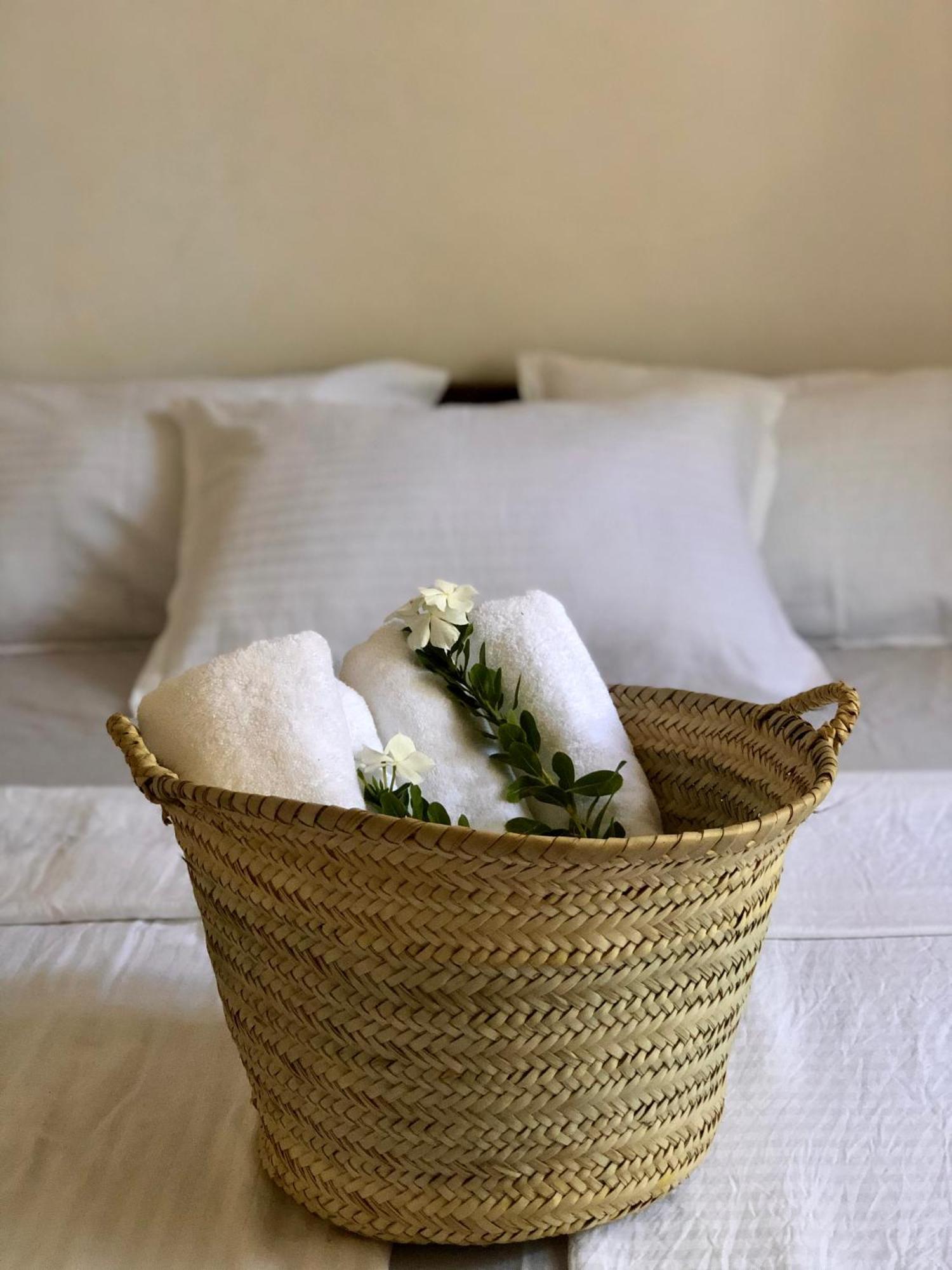 Mlango Paje House II Bed & Breakfast Ngoại thất bức ảnh